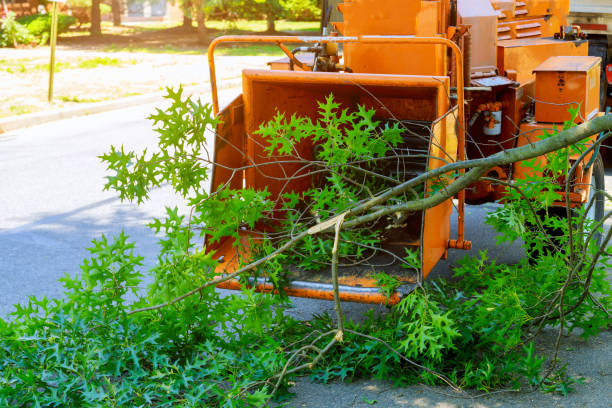 Lawn Watering Services in Windsor Heights, IA